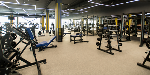 Gyms